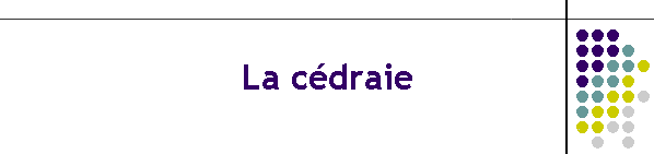 La cdraie