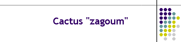 Cactus "zagoum"